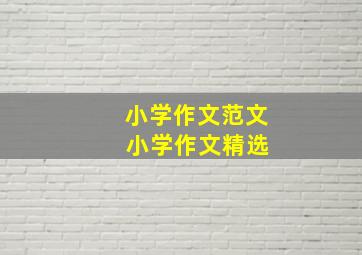 小学作文范文 小学作文精选